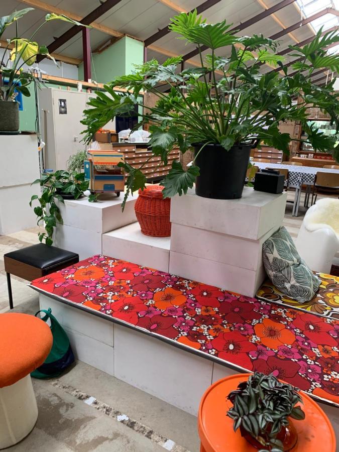 Het Lage Noorden Bed and Breakfast Marrum Εξωτερικό φωτογραφία